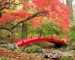 Bespoke Travel Design